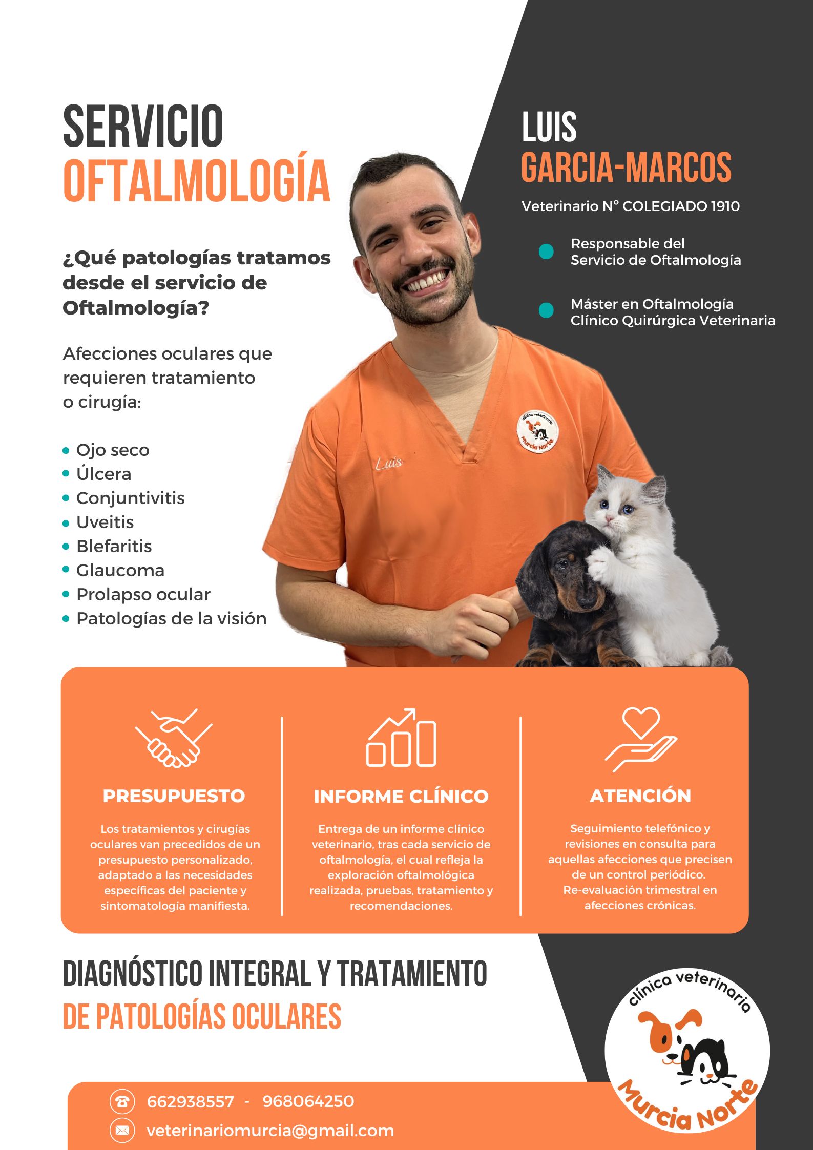 oftalmología veterinaria, especialidad oftalmología veterinaria, oftalmólogo perro, oftalmólogo gato, problema ojo perro, problema ojo gato